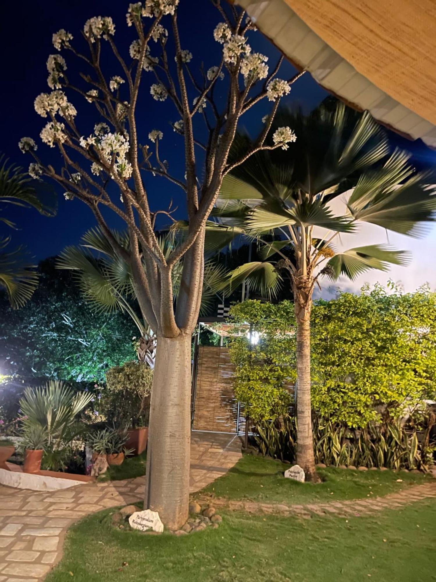 Le Jardin Exotique Hotel Antsiranana Exterior foto