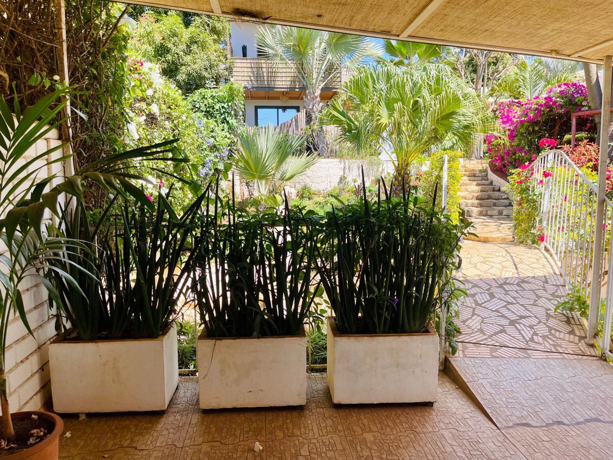 Le Jardin Exotique Hotel Antsiranana Exterior foto