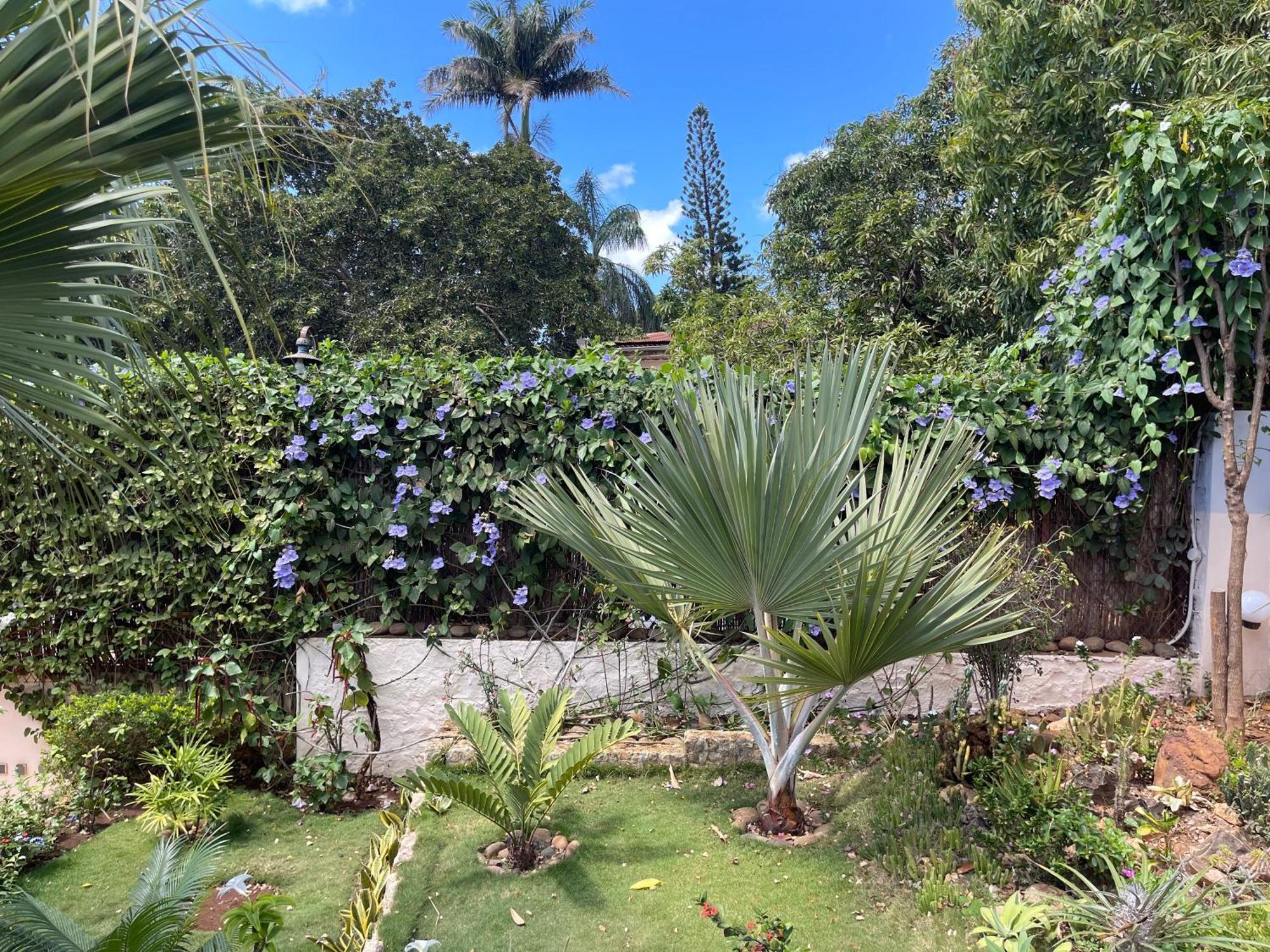 Le Jardin Exotique Hotel Antsiranana Exterior foto