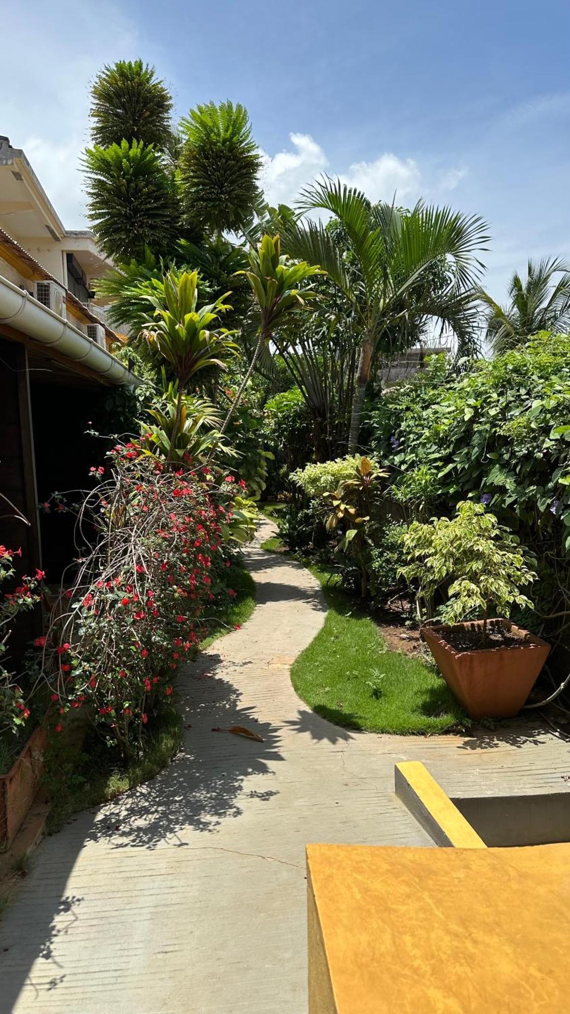Le Jardin Exotique Hotel Antsiranana Exterior foto